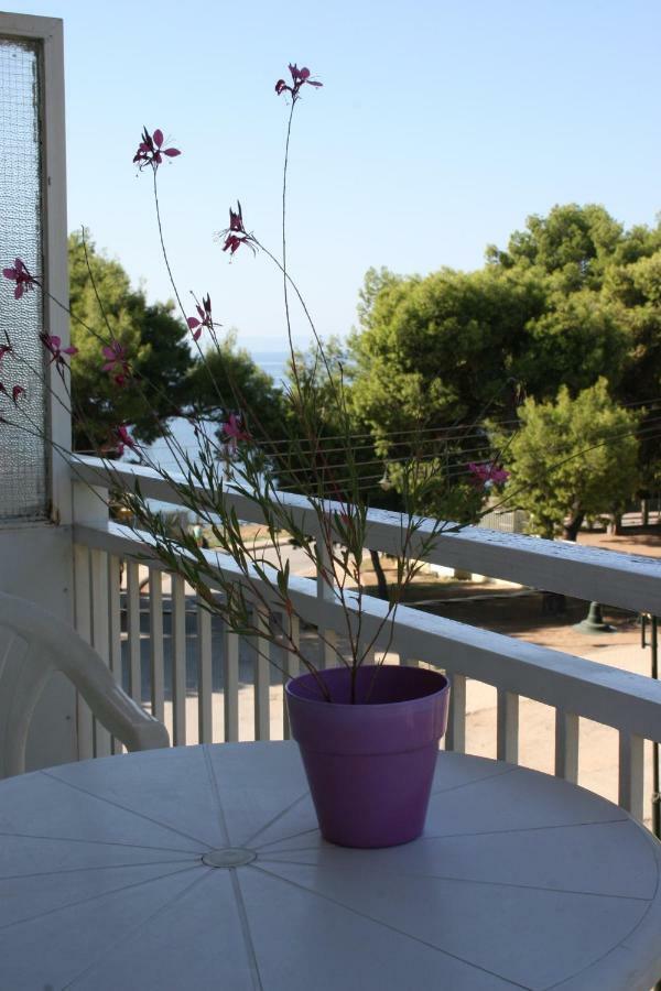 Cosy Apartment By The Sea ميتامورفوسي المظهر الخارجي الصورة