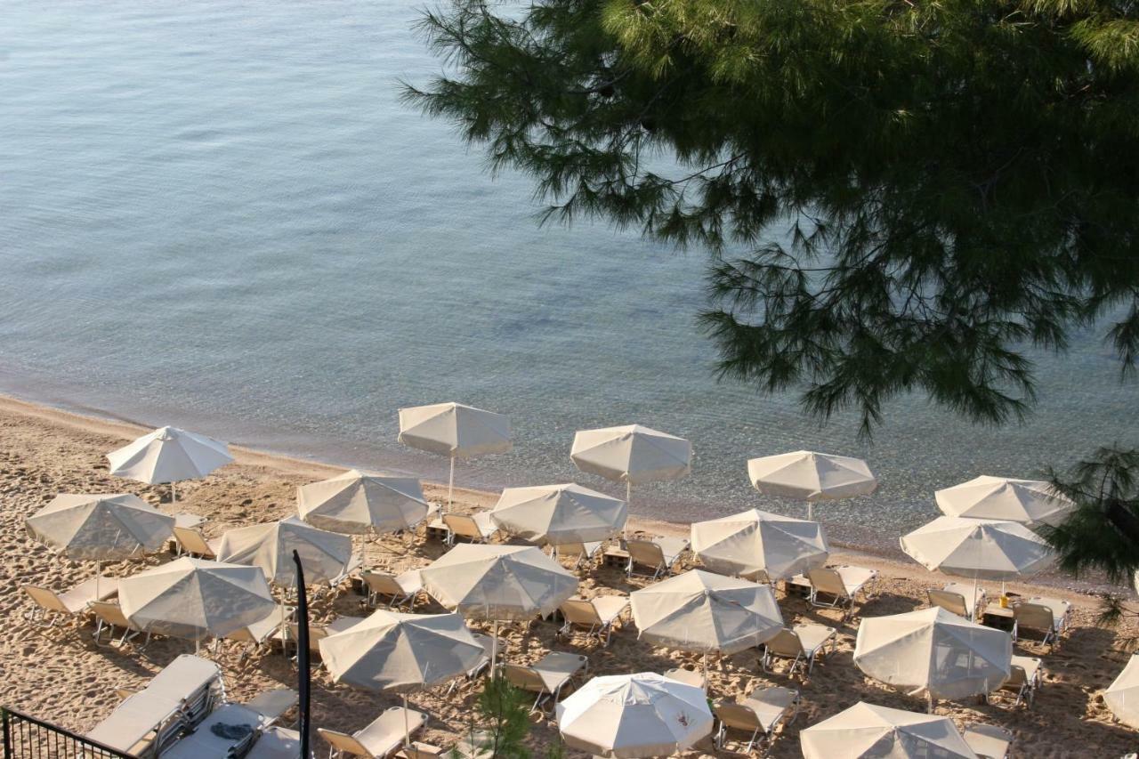 Cosy Apartment By The Sea ميتامورفوسي المظهر الخارجي الصورة