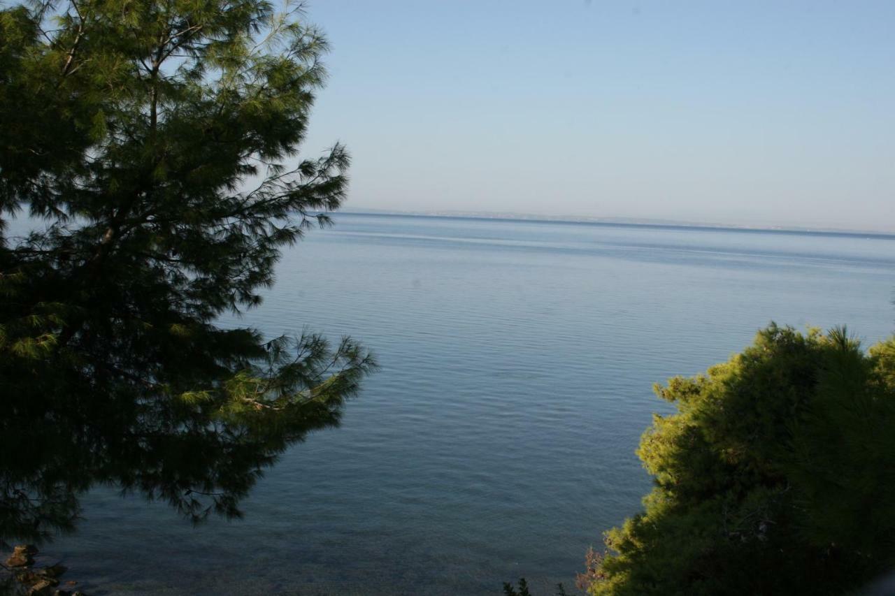 Cosy Apartment By The Sea ميتامورفوسي المظهر الخارجي الصورة