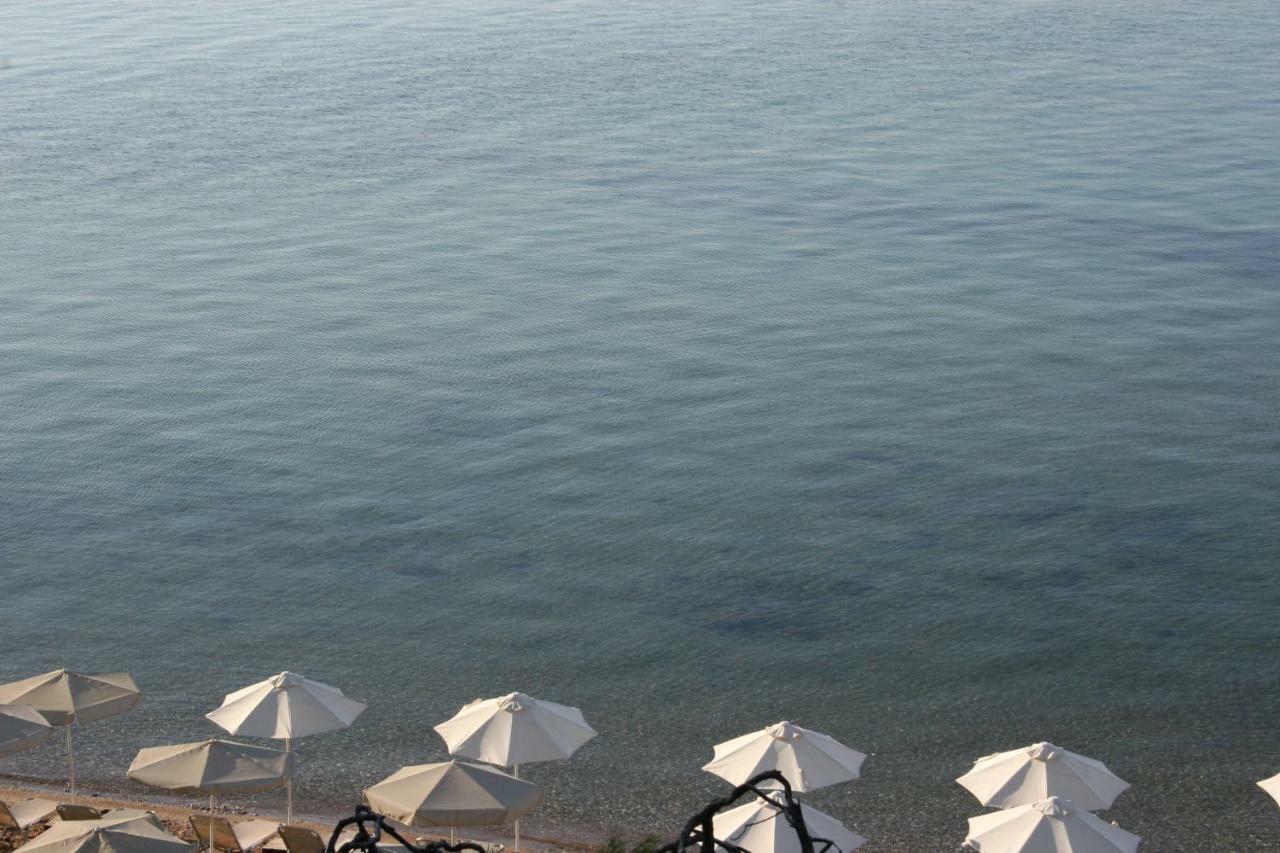 Cosy Apartment By The Sea ميتامورفوسي المظهر الخارجي الصورة
